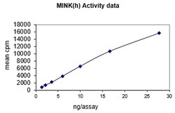 Eurofins DiscoverX MINK Protein, Active 10 &mu;g | Buy Online | Eurofins DiscoverX | Fisher Scientific